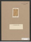 Navicula sp. (de-Toni-Nr.: Genus 1) Zeichnungen Sammlung Grunow Nr. 1372 (NHMW-BOT-W0368326)